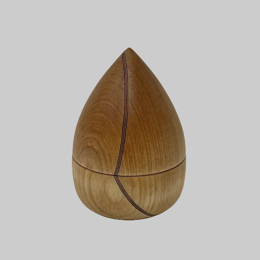 Boîte à sel